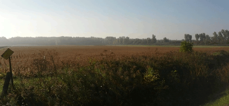 New Jersey lawmakers are currently trying to determine how to allocate funding for open space preservation in the state.