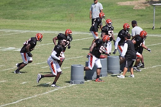 Cincinnati Bengals defense at 2010 training camp